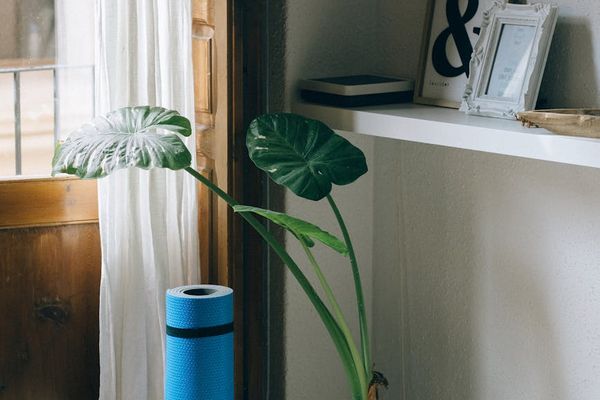 Person stretching on a yoga mat in a bright room.